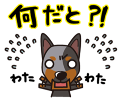 iinu - Australian Cattle Dog sticker #12209936