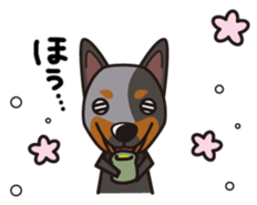 iinu - Australian Cattle Dog sticker #12209938