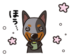 iinu - Australian Cattle Dog sticker #12209938