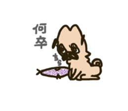 Pug with french bulldog sticker #12210760