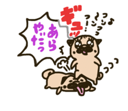 Pug with french bulldog sticker #12210777