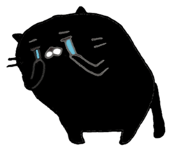 black cat san sticker #12210964