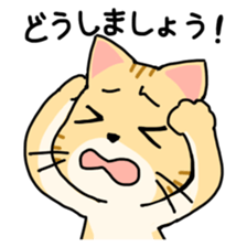 Polite language Cat-Japanese sticker #12211396