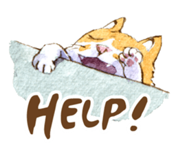 Xindian Cat Fraction - Xin Zai sticker #12211494