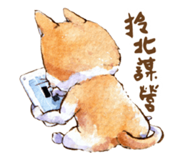 Xindian Cat Fraction - Xin Zai sticker #12211496