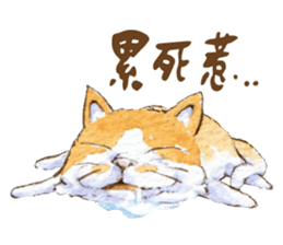 Xindian Cat Fraction - Xin Zai sticker #12211507