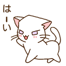 c cat sticker #12212564