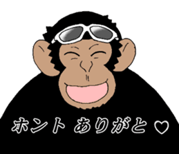 dandy chimpanzee "CHIMP ANDY" the second sticker #12213609