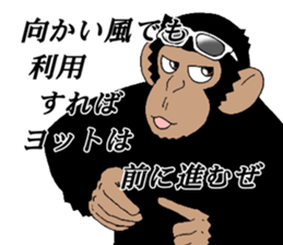 dandy chimpanzee "CHIMP ANDY" the second sticker #12213623