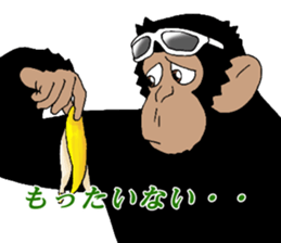dandy chimpanzee "CHIMP ANDY" the second sticker #12213632
