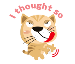 "Torao-Kun" the japanese tabby cat! sticker #12216854
