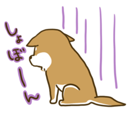 ShibaInu and boon companions sticker #12217453