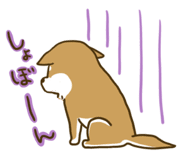 ShibaInu and boon companions sticker #12217453