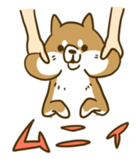 ShibaInu and boon companions sticker #12217468