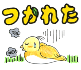 bird name is love. sticker #12219993