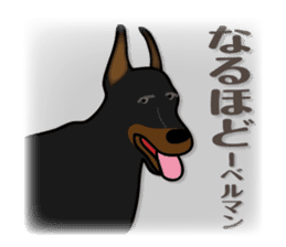 animals joke Sticker by keimaru sticker #12220330