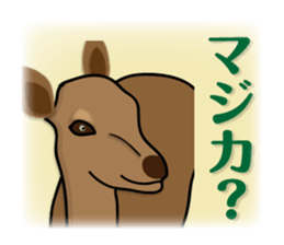 animals joke Sticker by keimaru sticker #12220344