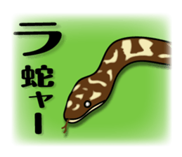 animals joke Sticker by keimaru sticker #12220346