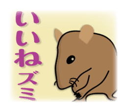 animals joke Sticker by keimaru sticker #12220347