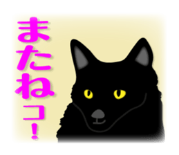 animals joke Sticker by keimaru sticker #12220350