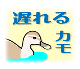 animals joke Sticker by keimaru sticker #12220352