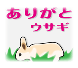 animals joke Sticker by keimaru sticker #12220354
