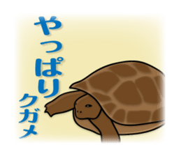 animals joke Sticker by keimaru sticker #12220358