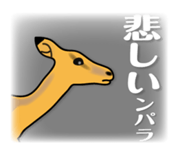 animals joke Sticker by keimaru sticker #12220362