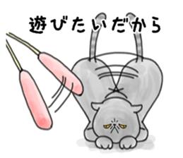 a funny face cat. sticker #12220772