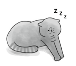 a funny face cat. sticker #12220781