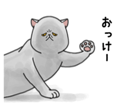 a funny face cat. sticker #12220791