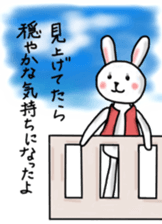 Quiet adult rabbit Sticker sticker #12220942