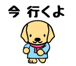 Cute Labrador Retriever sticker #12224288