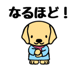 Cute Labrador Retriever sticker #12224299