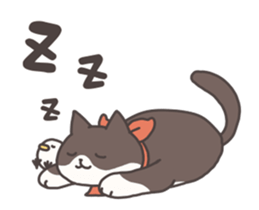 Socky the cat sticker #12225486