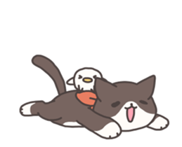 Socky the cat sticker #12225492