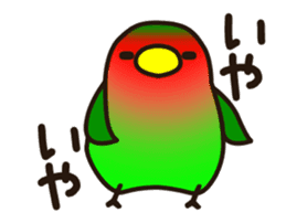 Lovebird [Ver5](move/response No.1) sticker #12226057