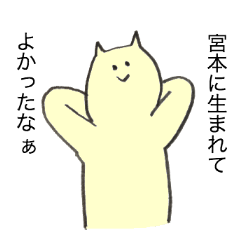 Cat's name is Miyamoto