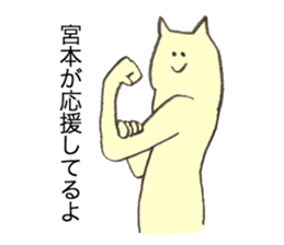 Cat's name is Miyamoto sticker #12227897