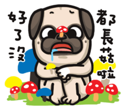 Pug in the house sticker #12228028