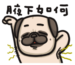 Pug in the house sticker #12228030