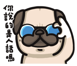 Pug in the house sticker #12228034