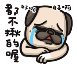 Pug in the house sticker #12228039