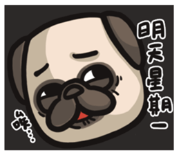 Pug in the house sticker #12228042