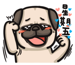 Pug in the house sticker #12228043