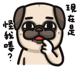 Pug in the house sticker #12228048