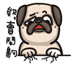 Pug in the house sticker #12228053