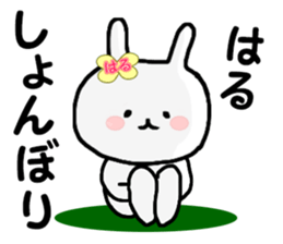 Name Sticker Haru-chan can be used sticker #12228524