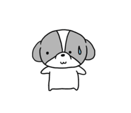 Playful cute Shih Tzu sticker2 sticker #12230245