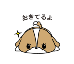 Playful cute Shih Tzu sticker2 sticker #12230254